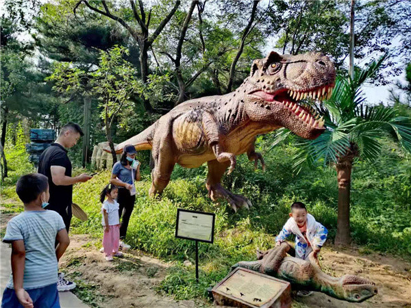 跑马岭景区是国家级森林公园.