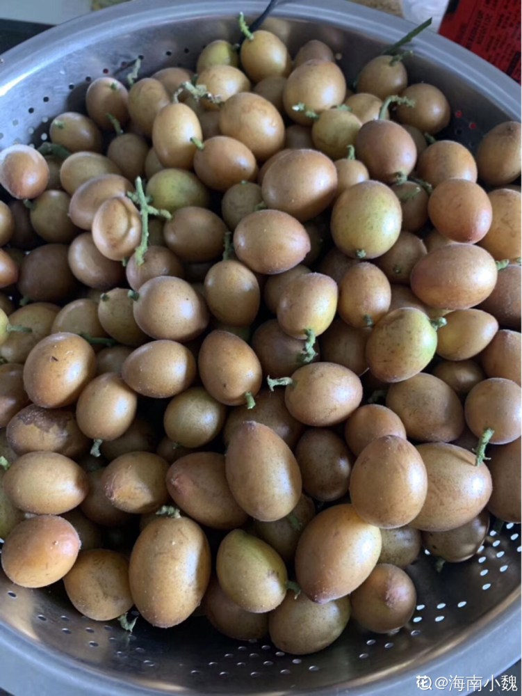 南方常见的黄皮果,妥妥的"黄水晶",咬一口直流口水