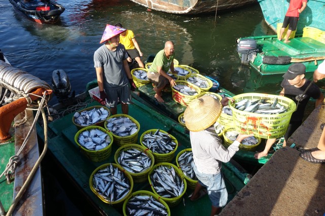 南海开渔季,潭门渔民迎来首日丰收