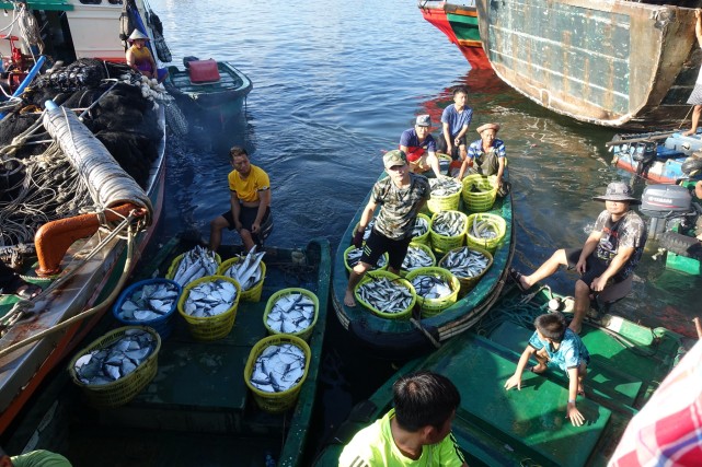 南海开渔季,潭门渔民迎来首日丰收