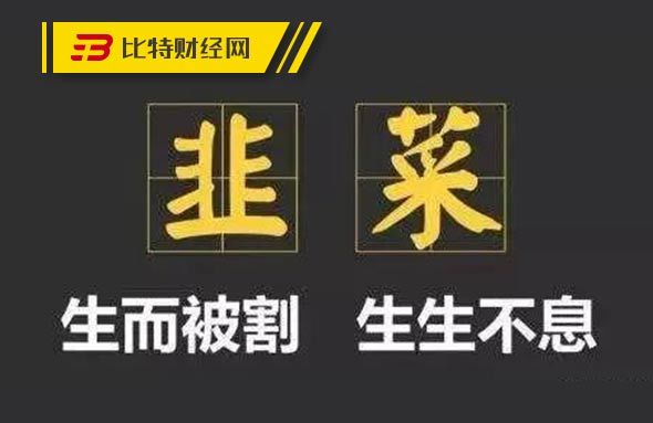SWARM（BZZ）崩盘真相曝光 矛头直指“匠星科技”(图4)