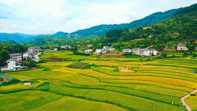 重庆美丽乡村_腾讯新闻