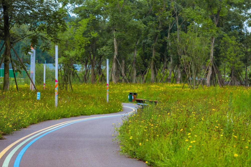 为市中心圈起绿色屏障成都环城生态公园100公里绿道年底将建成