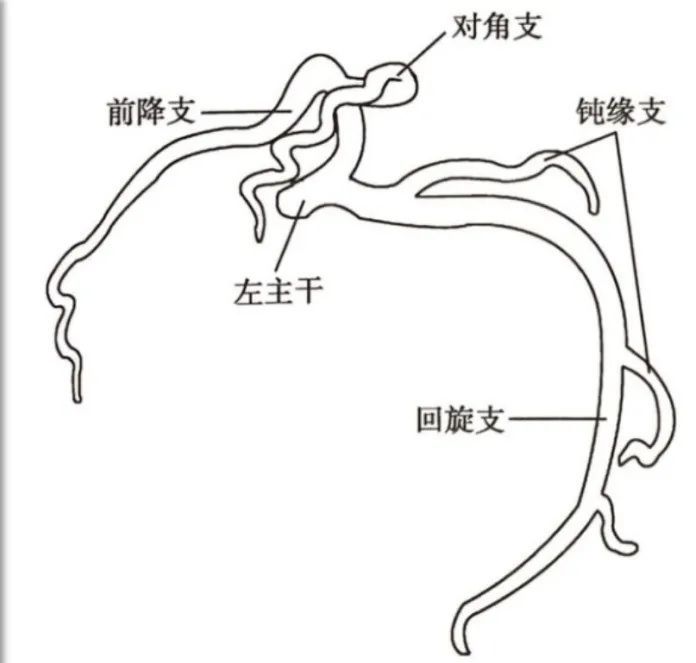 带你 5 分钟掌握体位!(附动图)