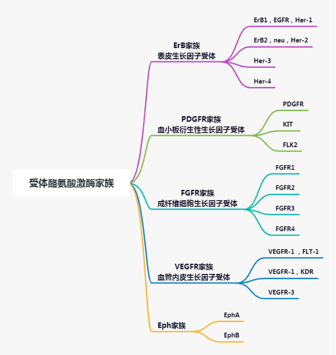 你真的看懂了 吉非替尼 说明书 解密egfr Tki 作用原理 腾讯新闻