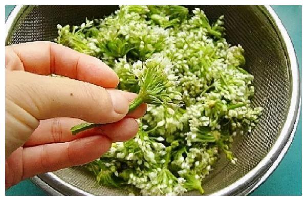腌韭菜花,只加盐不好吃!多加这2种食材,鲜香入味,放一年不坏