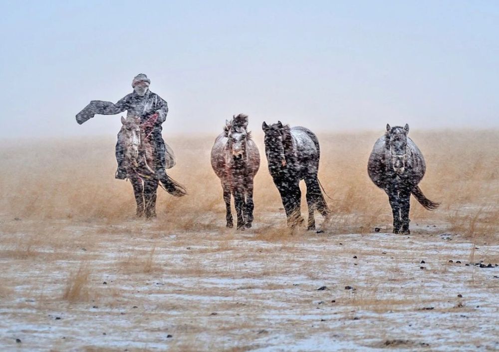 去中国最美湿地,看河曲马的故乡,生灵栖息的天堂!