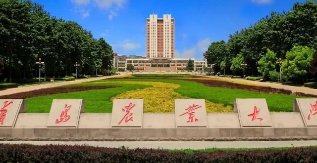 青島農業大學,青島理工大學,煙臺大學,曲阜師範大學,山東理工大學,魯