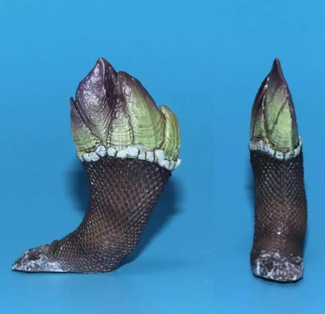 遭人唾弃的藤壶到底有多可怕看看鲸和海龟被折磨的样子就懂了