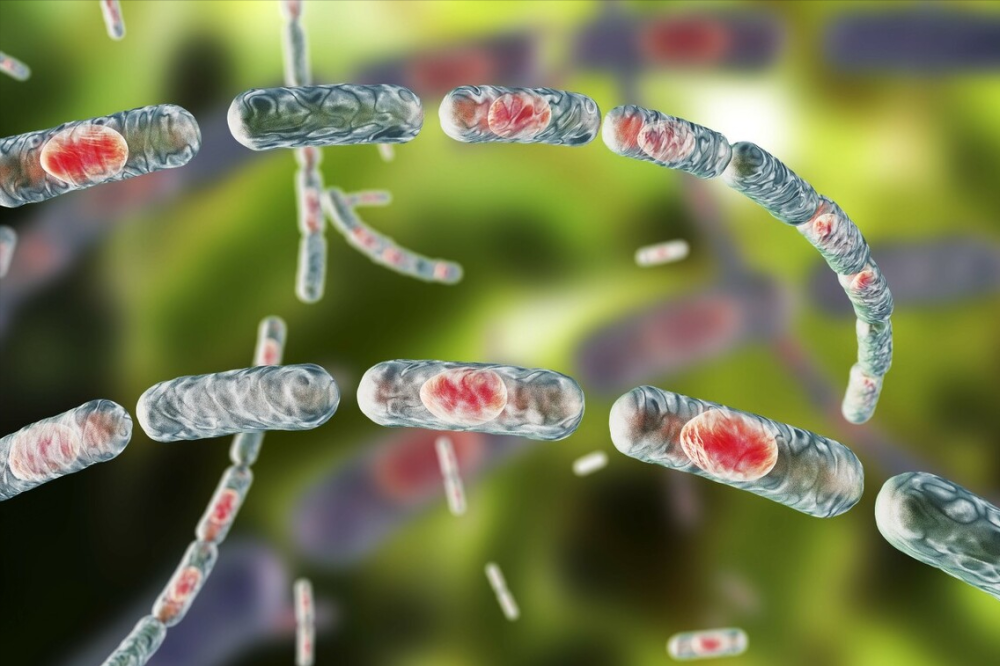 山西文水县发生疑似皮肤炭疽疫情该病与新冠同级别如何预防