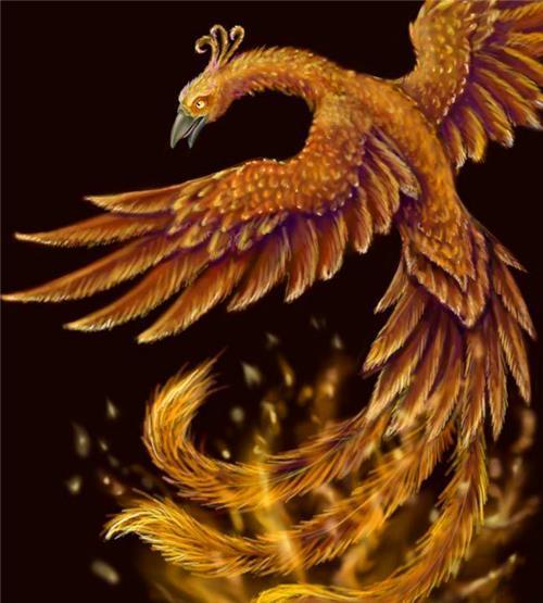 山西农民上山采药意外发现"金凤凰",投喂4年,如今有意外收获