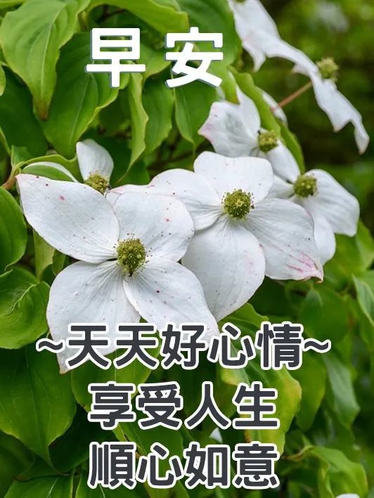 早安圖片帶字祝福 早安祝福語