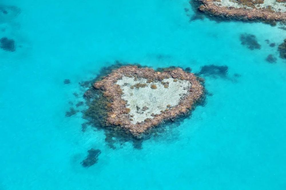 它是大堡礁最为著名的景点之一,位于圣灵群岛(whitsunday islands)