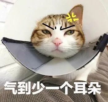 到案后还出尔反尔,睁眼说瞎话而肇事的外卖小哥不仅撞人后逃逸没想到