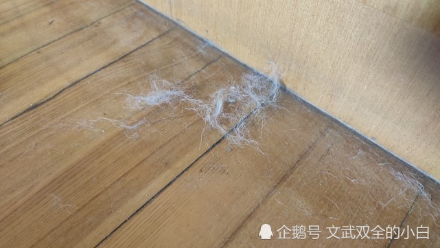 扫地机器人|毛发|地板|衣物