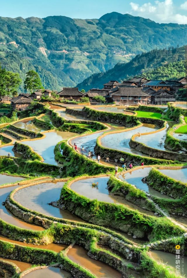 中国梯田,有多美?