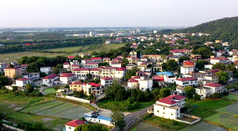 濂溪区新港镇:美丽乡村展新颜