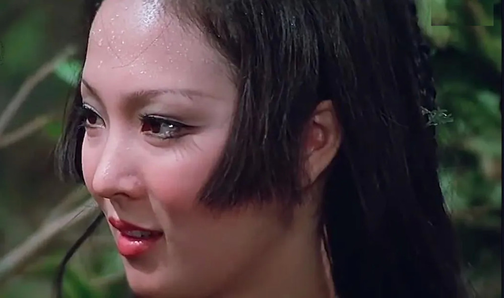 木婉清为何总乱来有人头晒渔网有人脸套丝袜还有人过分艳丽