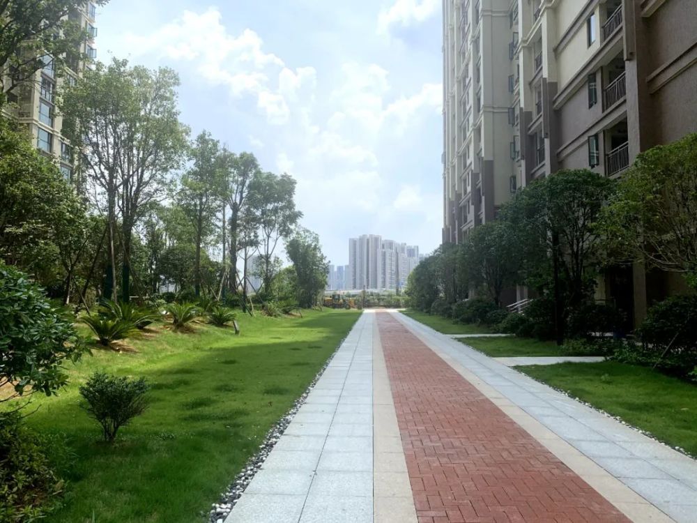 普通安置小区大多是车在小区内到处乱停,甚至经常出现占用消防通道的