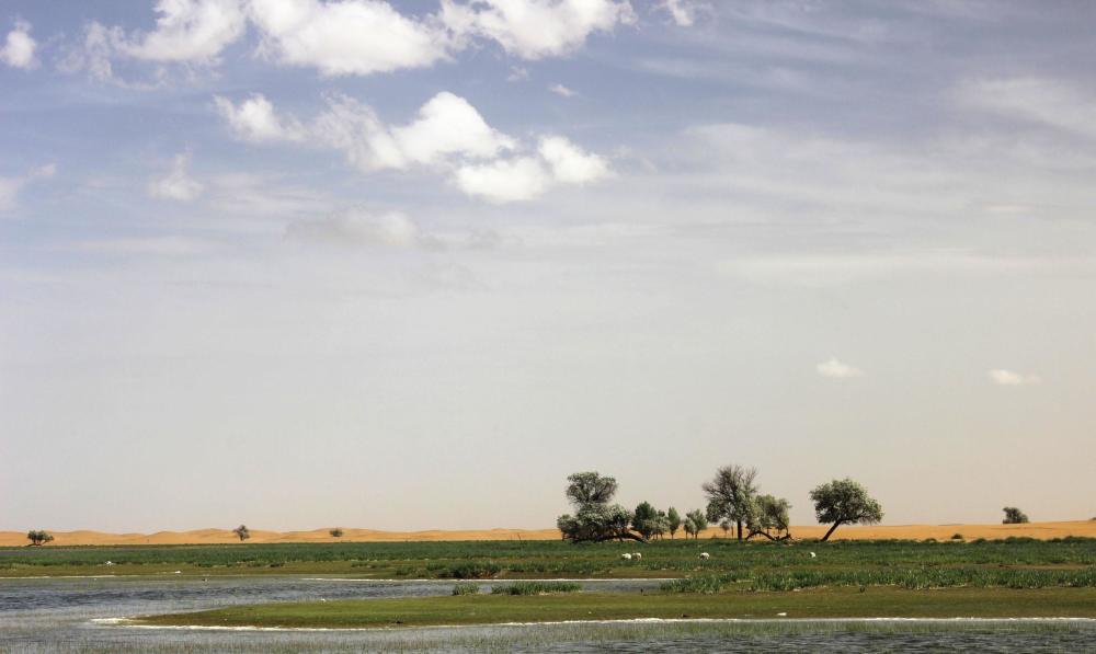 中国最奇怪的平原,一圈都是沙漠戈壁,独独这里被称为塞上江南