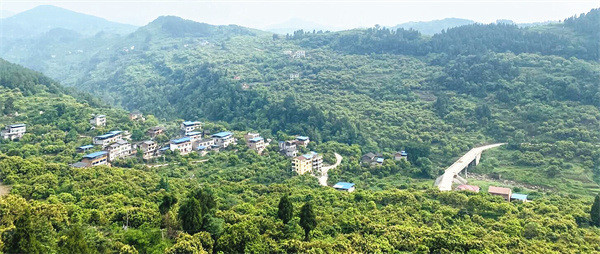 丰都县兴义镇:产业强 村貌新|兴义镇|丰都县|长江村|重庆