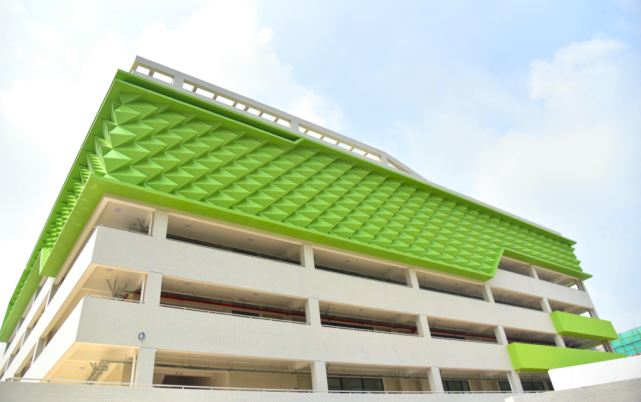 快看你们心心念念的新城小学也来了