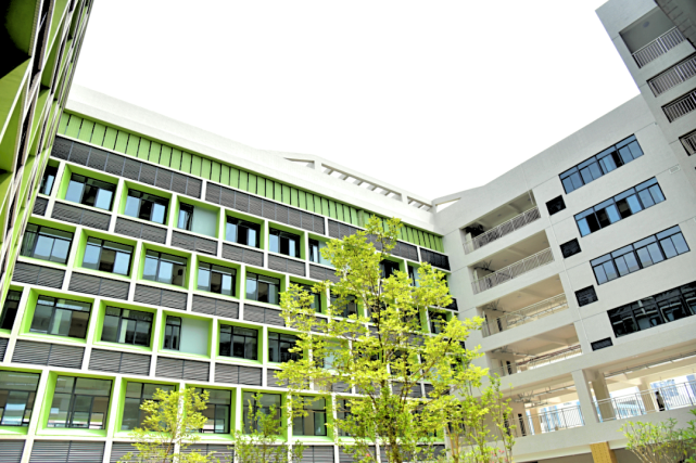 快看你们心心念念的新城小学也来了