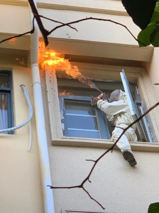 猜猜消防员一天要捅多少个马蜂窝