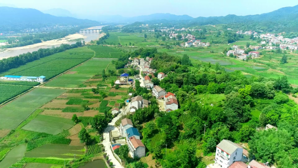 突围经济发展实现绿色崛起杨柳湾镇聚焦十大工程打造一谷三镇