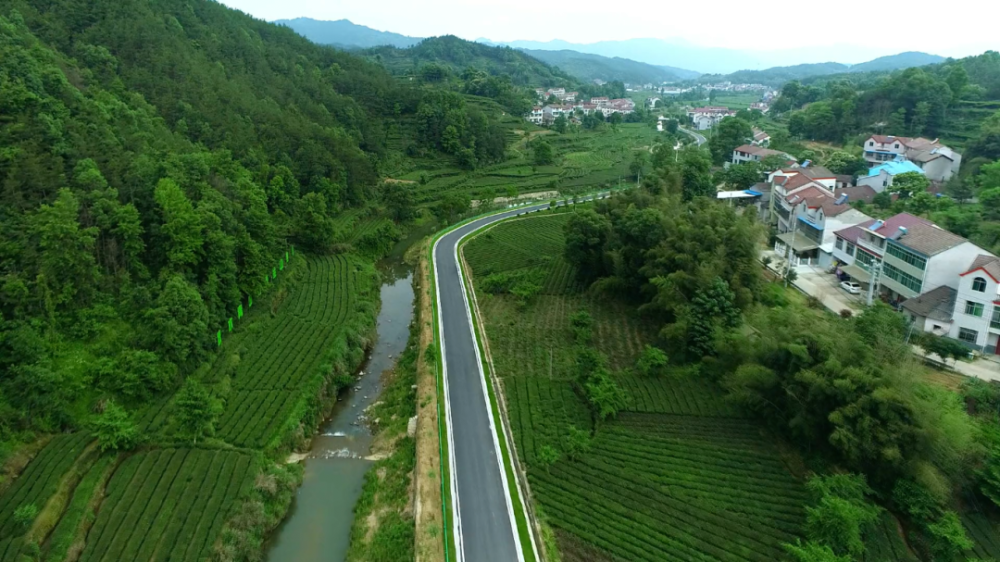 突围经济发展实现绿色崛起杨柳湾镇聚焦十大工程打造一谷三镇