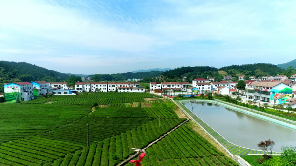 【突围经济发展 实现绿色崛起】 杨柳湾镇:聚焦十大工程 打造"一谷三