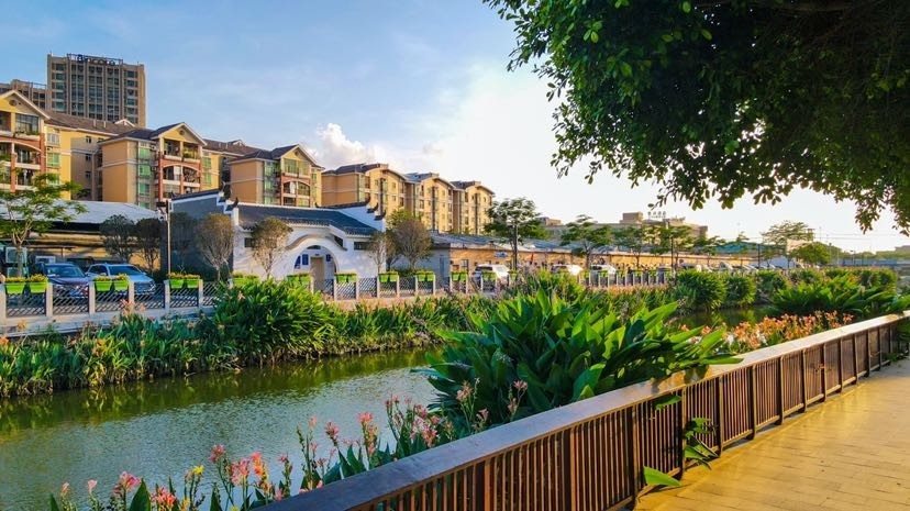 广州番禺钟村街串珠成链打造禾田水韵新乡村示范带