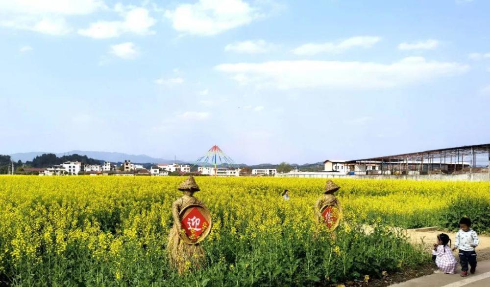 龙南最美油菜花大比拼你最中意哪个