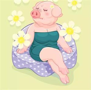 别小看猪的仇恨,也别低估人的恶意