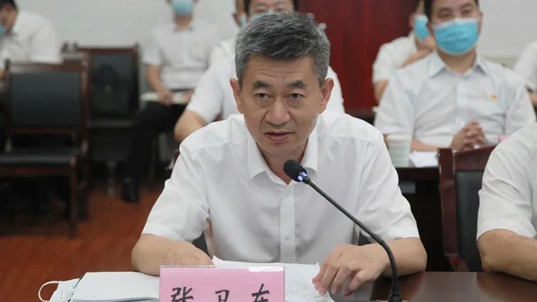 张卫东强调关于全面推行林长制.