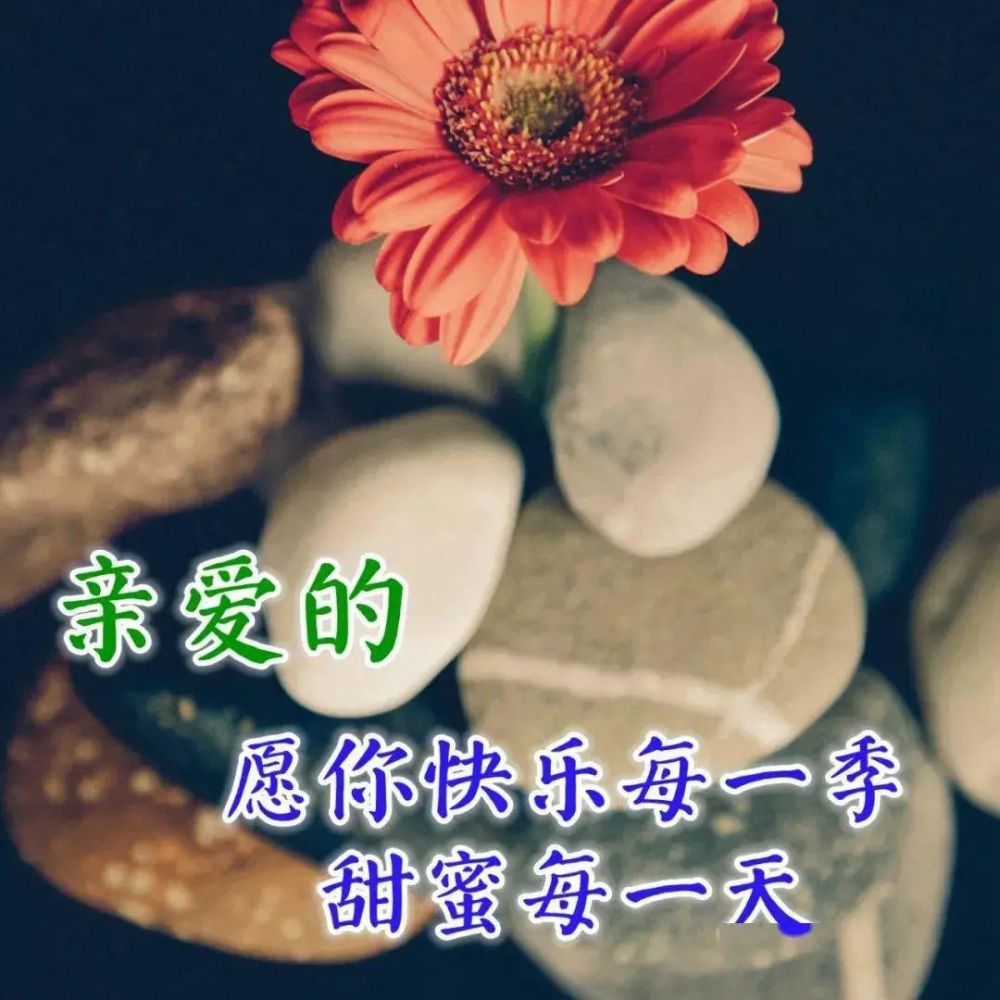 对朋友的祝福短信(送给好朋友的祝福短信词语),早上好朋友,最新早上好