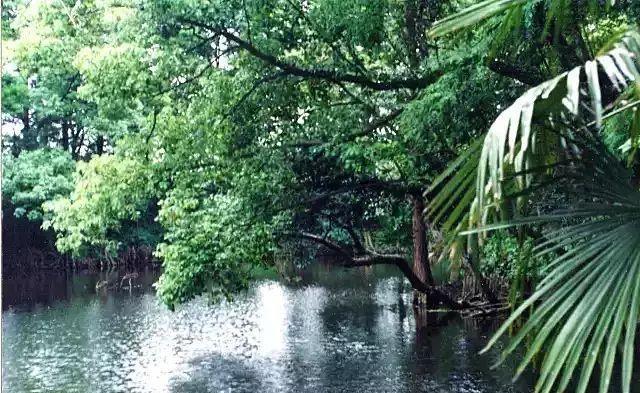 上海嘉定黄家花园最美私人园林设计与普通花园有别