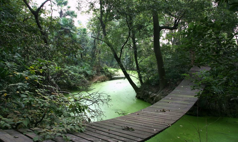 上海嘉定黄家花园最美私人园林设计与普通花园有别