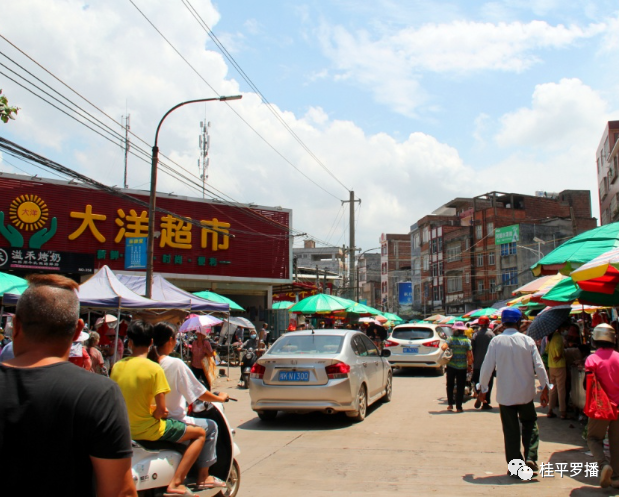 桂平这个镇上圩日全是卖这个