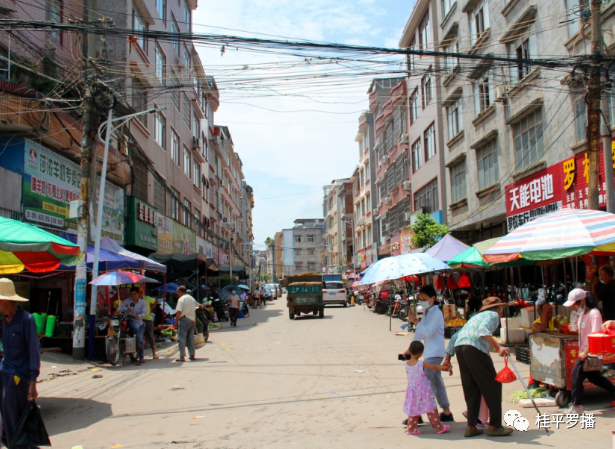 桂平这个镇上圩日全是卖这个