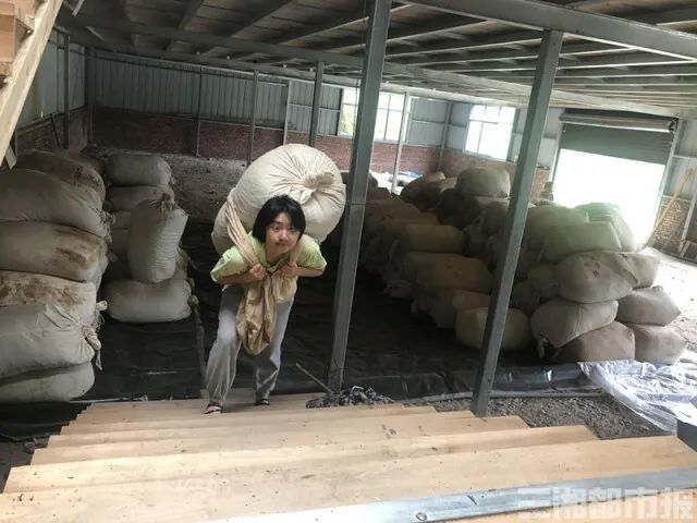 大学我来了等我把茶叶包扛完