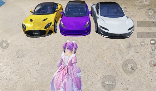 "吃鸡"玩家在海岛"养"了1只猫,动态战斗特效,技能挺唬人!