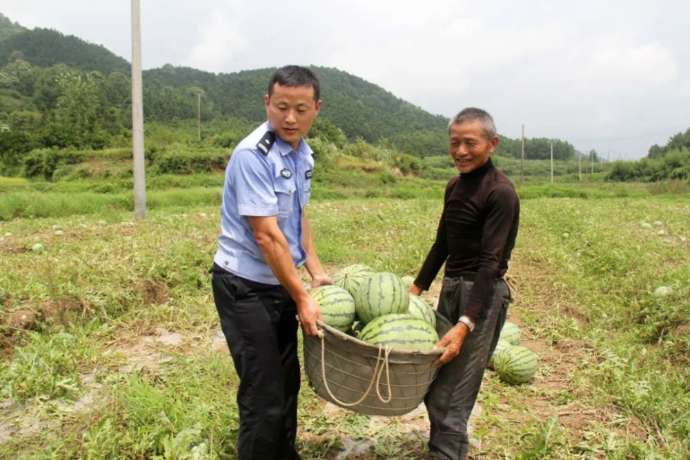 十万斤西瓜滞销瓜农犯愁,民警当起了推销员