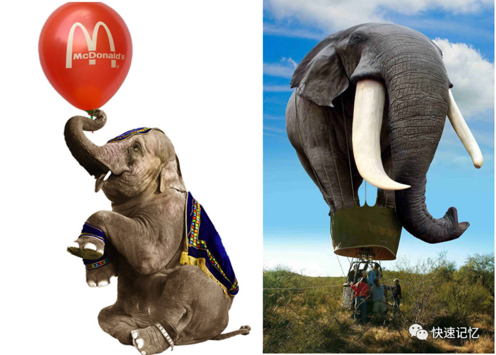 唐僧背着书包联想:拿香蕉喂孔雀联想:用扫帚扫出一道彩虹气球 vs 大象