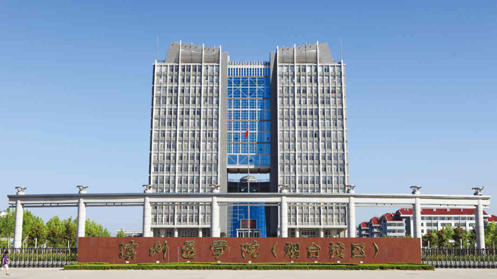 官方回复五句话,潍坊医学院升级大学,进入冲刺阶段?_腾讯新闻