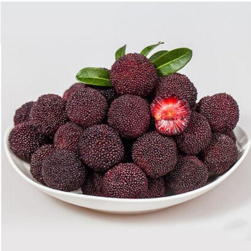 丁岙杨梅产地在哪品种有哪些特点