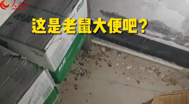 蜘蛛网老鼠屎知名炸鸡店后厨冲上热搜这一幕看吐了