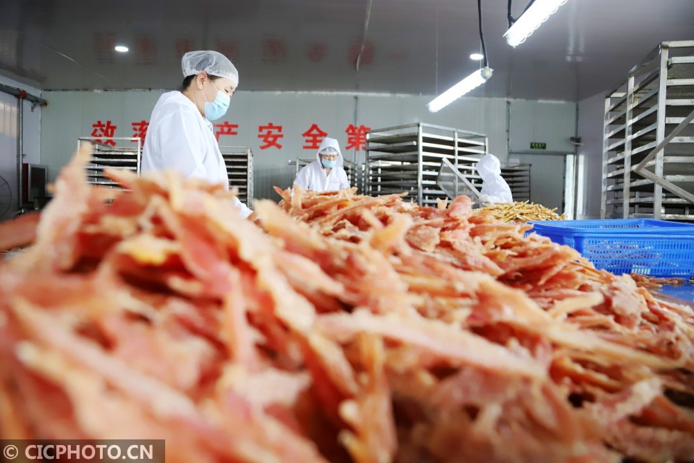 工人在山东省青岛西海岸新区大场镇一家宠物食品企业车间加工出口宠物