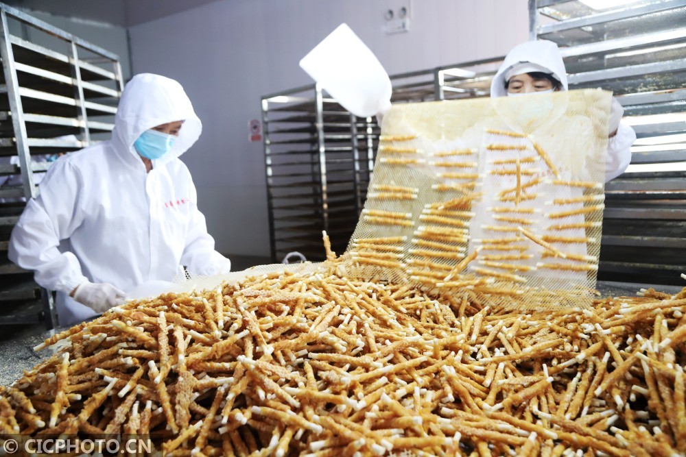 工人在山东省青岛西海岸新区大场镇一家宠物食品企业车间加工出口宠物