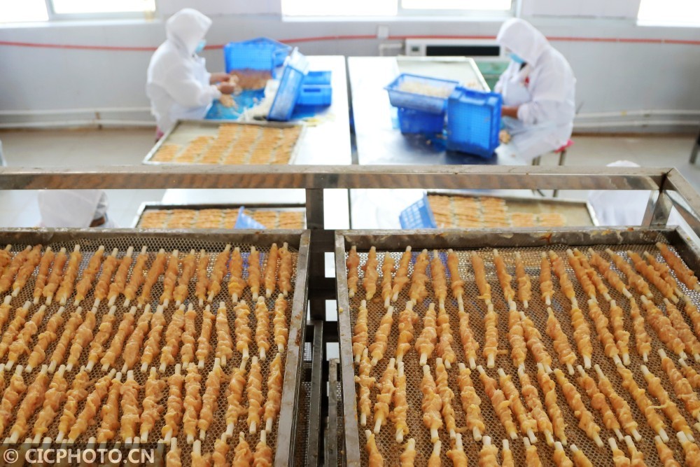 山东青岛宠物食品生产忙